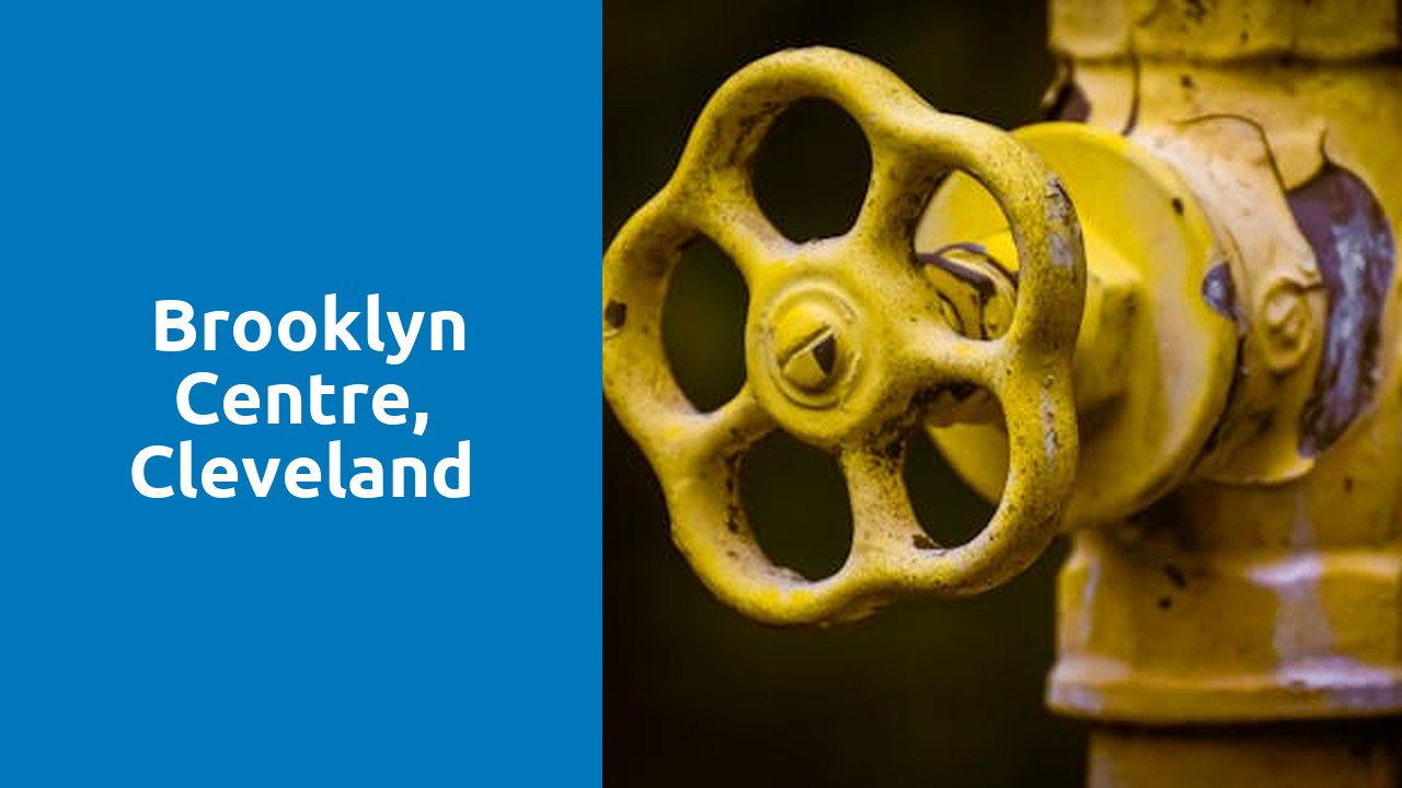 Things to do and places to visit in Brooklyn Centre, Cleveland